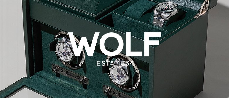 Watch winder